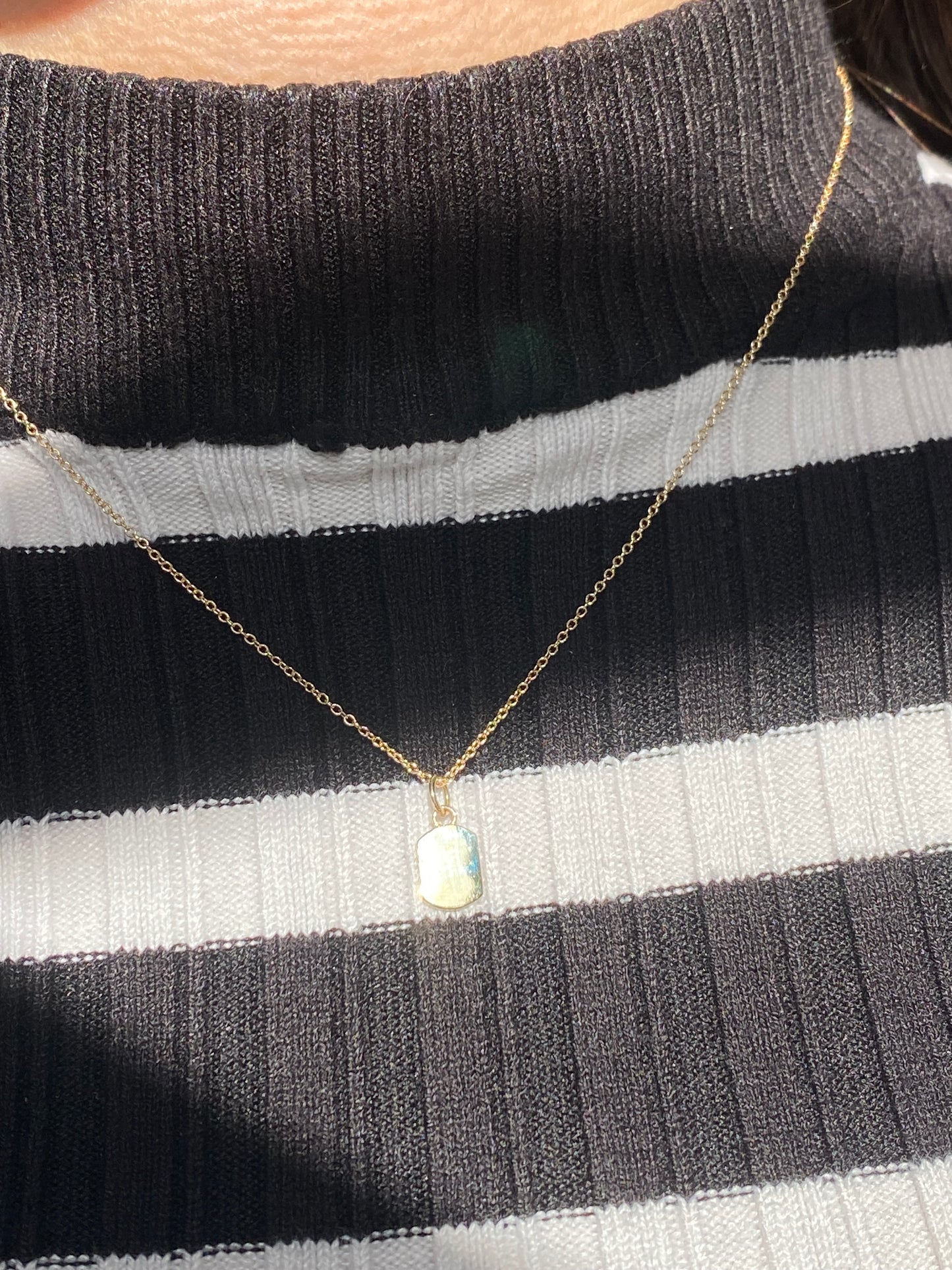 MINI DOG TAG NECKLACE