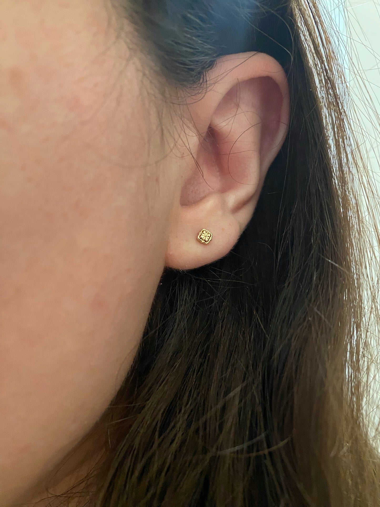 MINI TALAVERA STUD