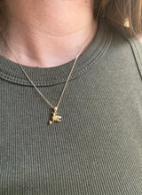 Load image into Gallery viewer, COLIBRÍ NECKLACE
