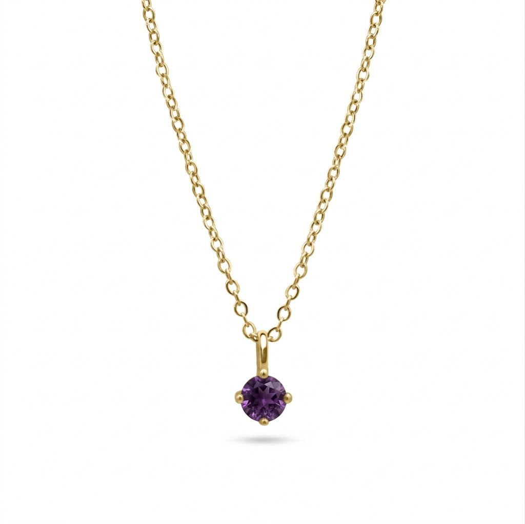 MINI BIRTHSTONE COMPASS NECKLACE