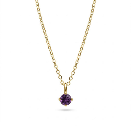 MINI BIRTHSTONE COMPASS NECKLACE